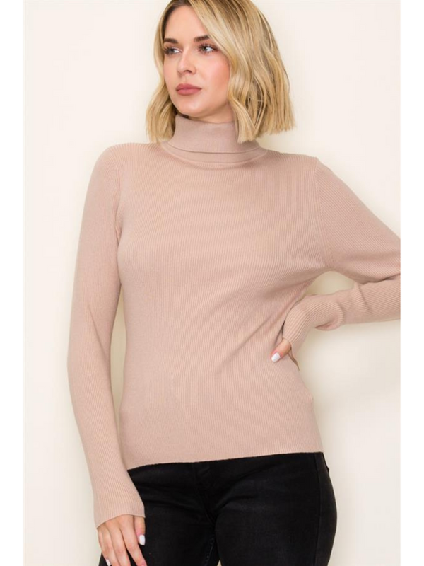 Soft Blush Beige Basic Turtleneck