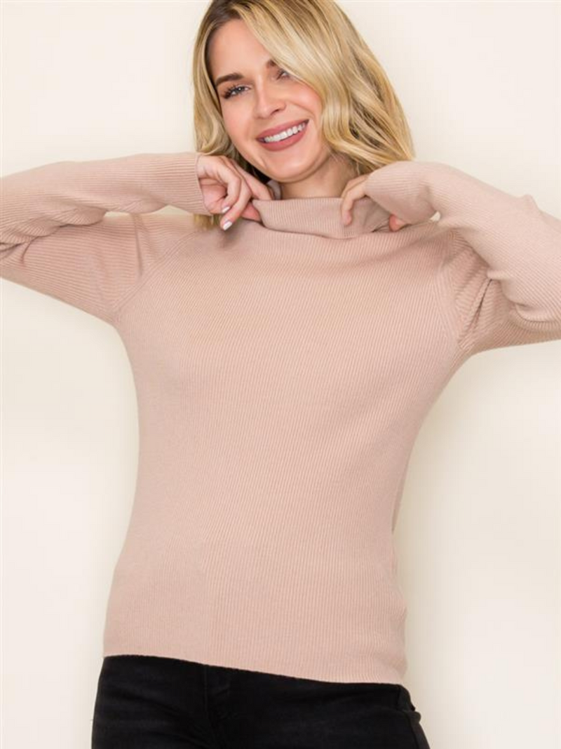 Soft Blush Beige Basic Turtleneck