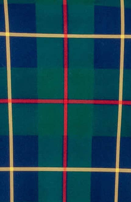 Plaidly Cooper Comfy Cozy Shirt