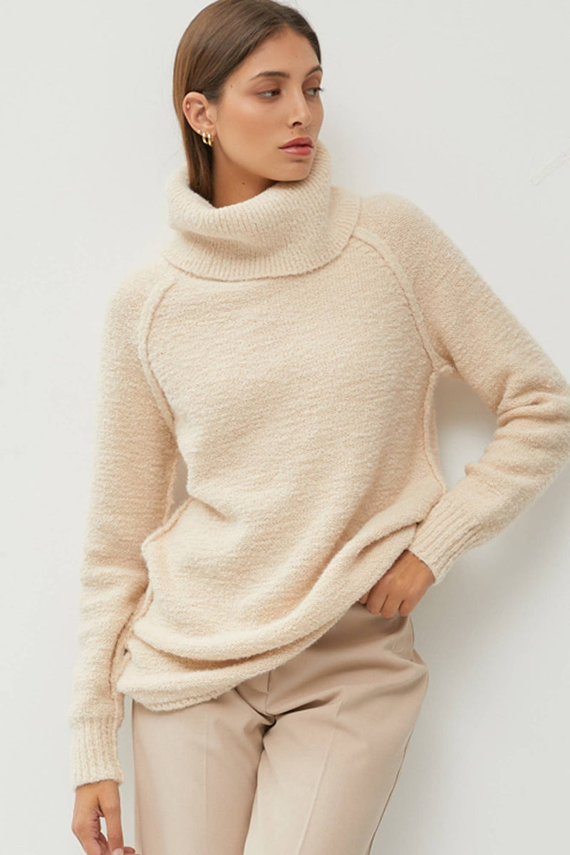 Adaline Turtleneck Sweater